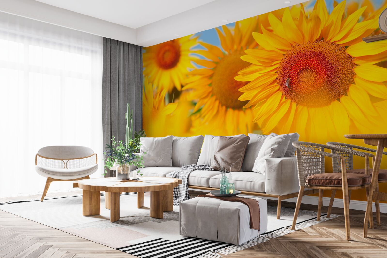 Papier peint tournesols sous le soleil