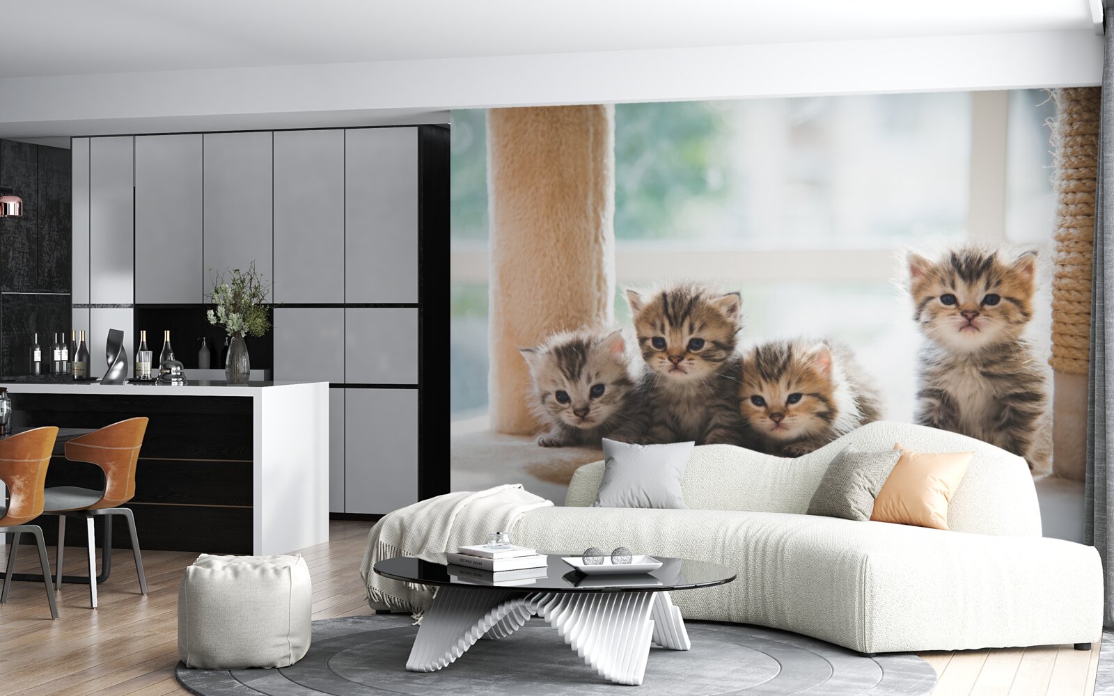 Papier peint les bébés chats cherchent leur mère