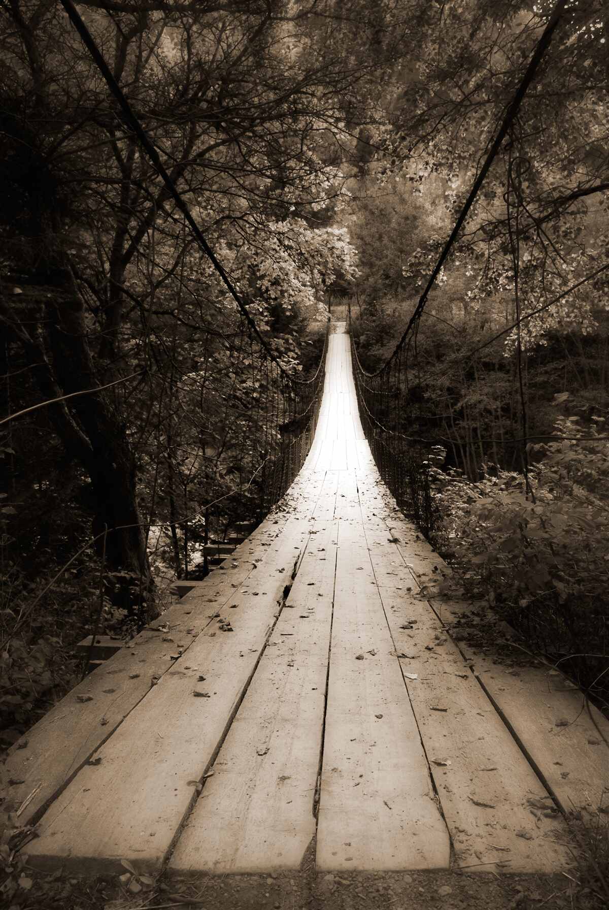 Papier peint pont en bois reliant l'étang à la forêt