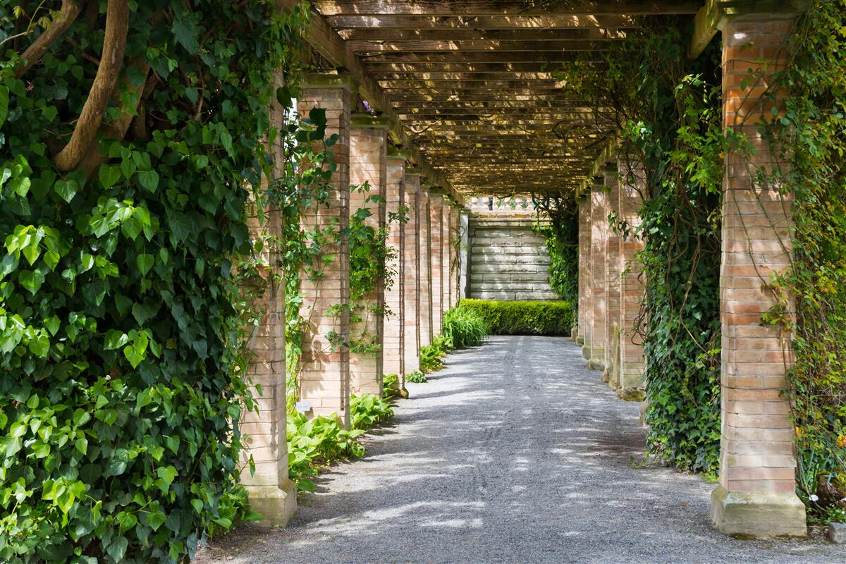 Papier peint fascinant tunnel brun entouré de plantes vertes