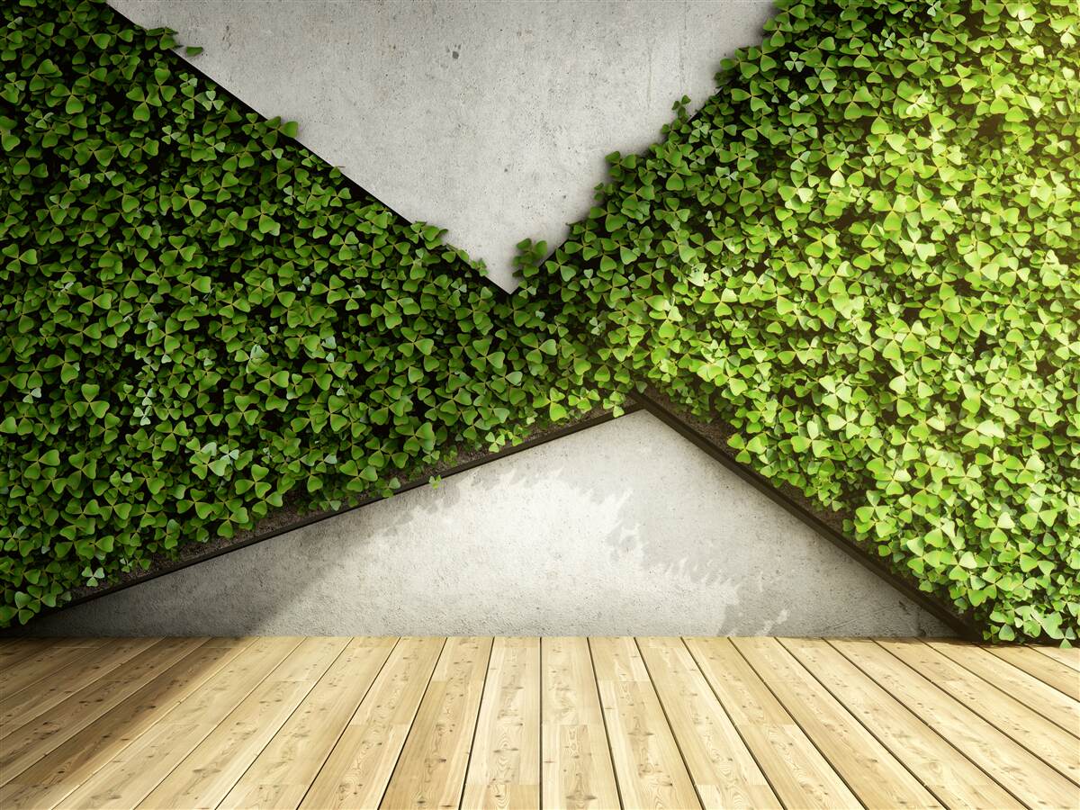 Papier peint parquet et murs décorés de plantes vivantes