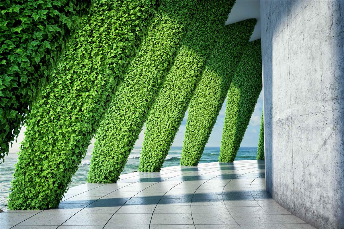 Papier peint il y a des plantes vertes sur les piliers du couloir