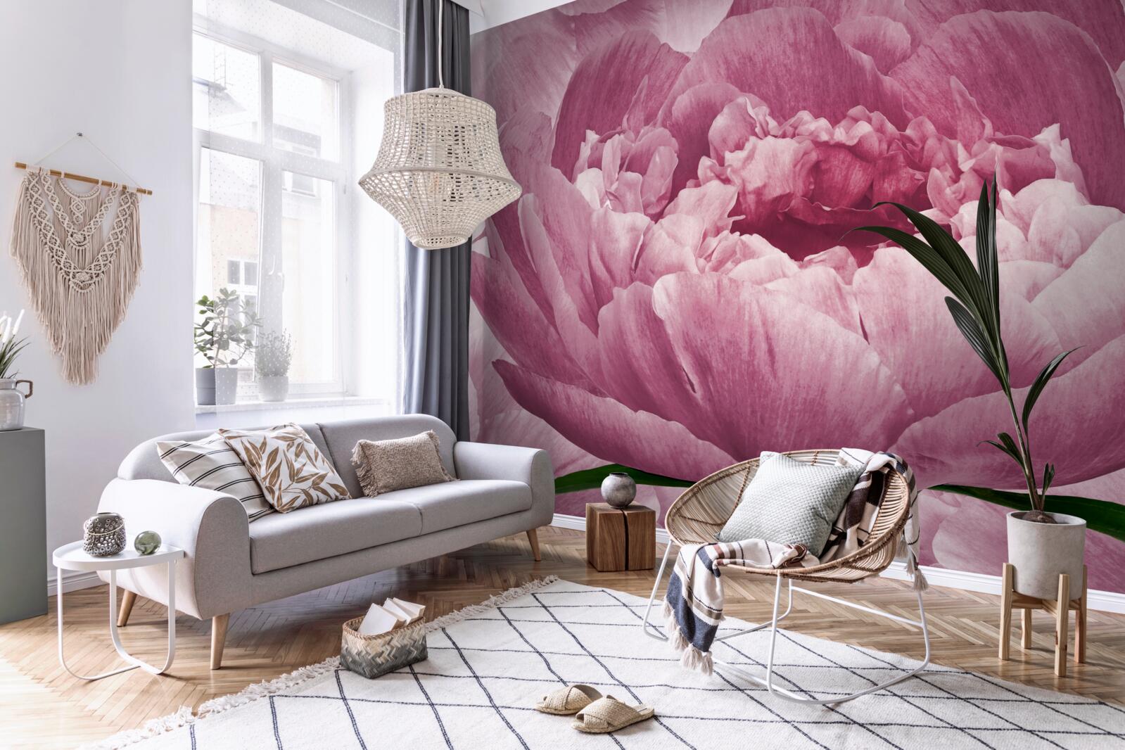Papier peint abondante fleur d'aster rose