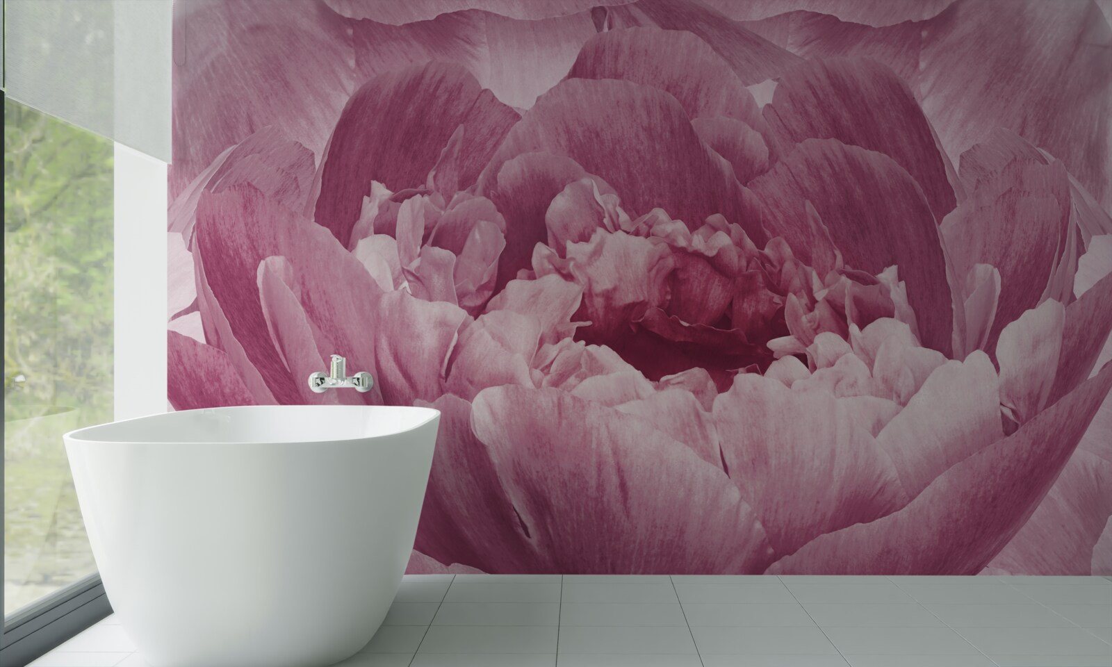 Papier peint abondante fleur d'aster rose