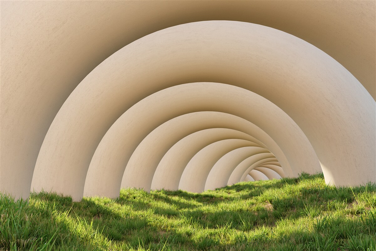 Papier peint l'herbe verte sous les lignes courbes des grandes arches