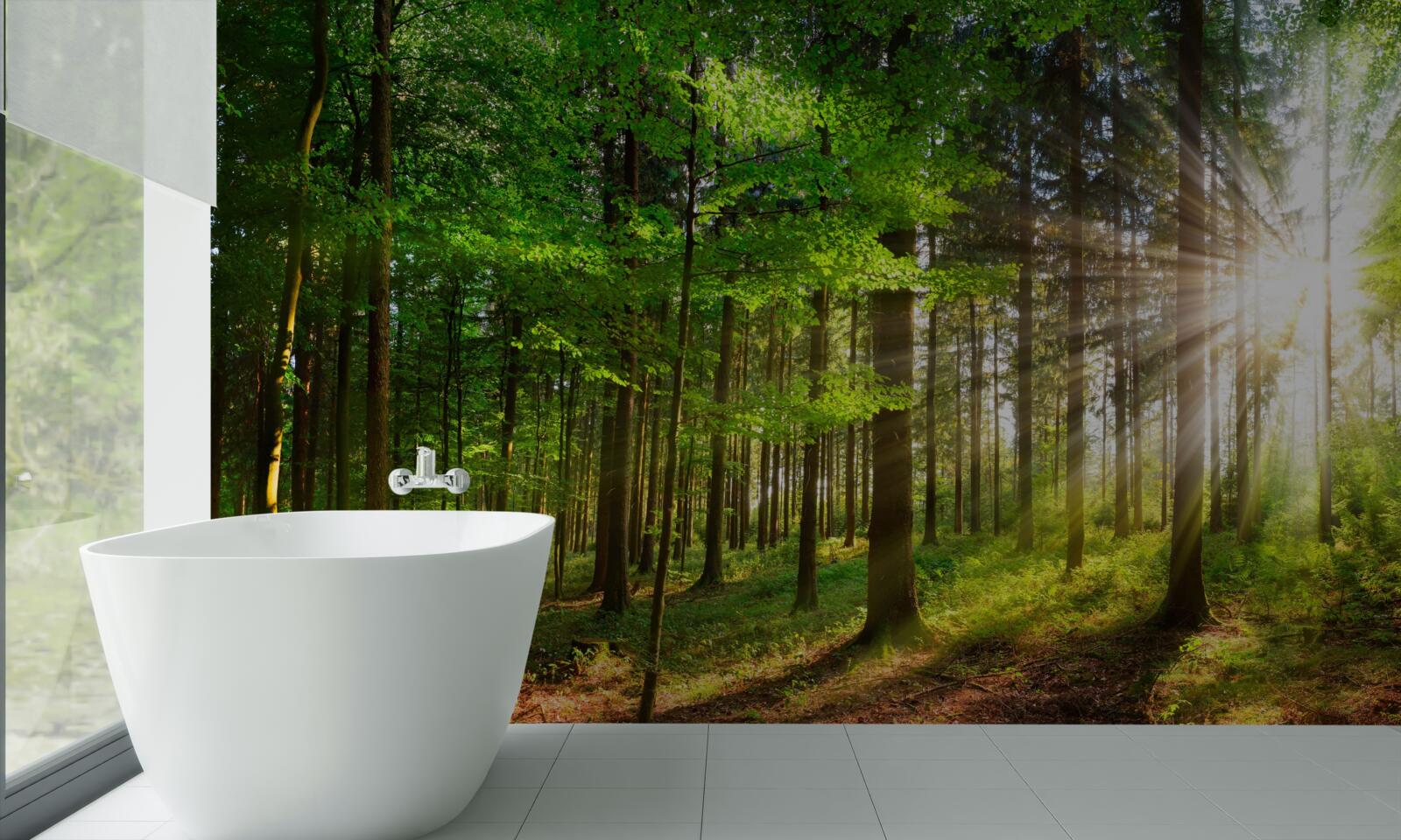 Papier peint soleil éclatant dans une forêt couverte de feuilles vertes