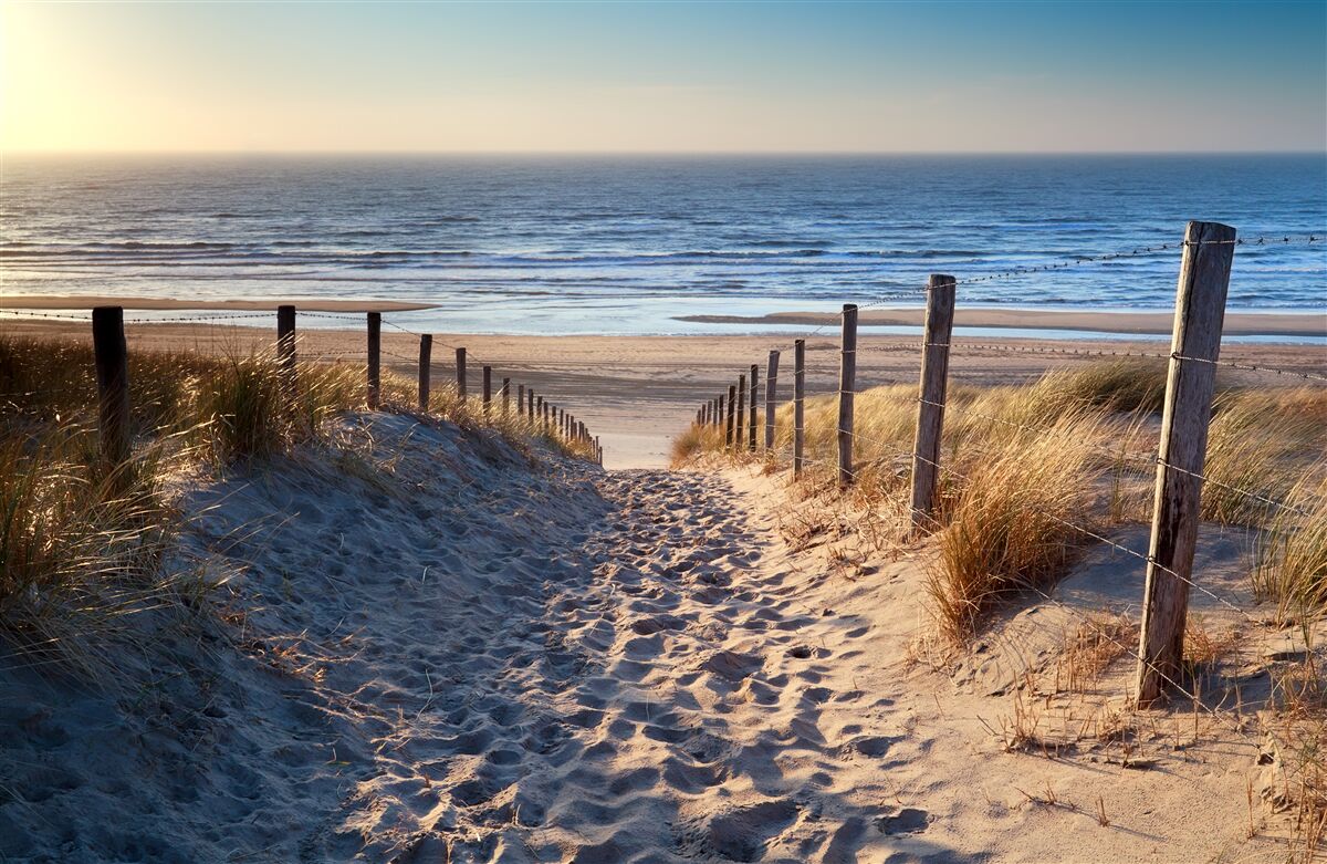 Papier peint océan calme et plage de sable fin