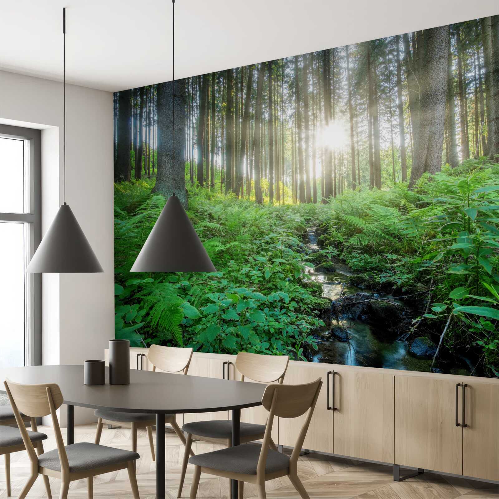 Papier peint les rayons du soleil pénètrent dans la forêt dense