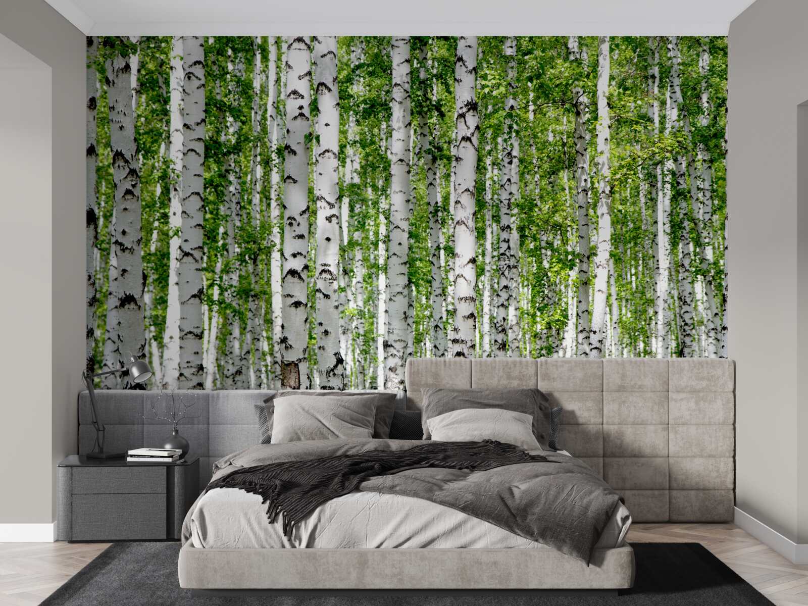 Papier peint les feuilles brillantes des gracieux bouleaux