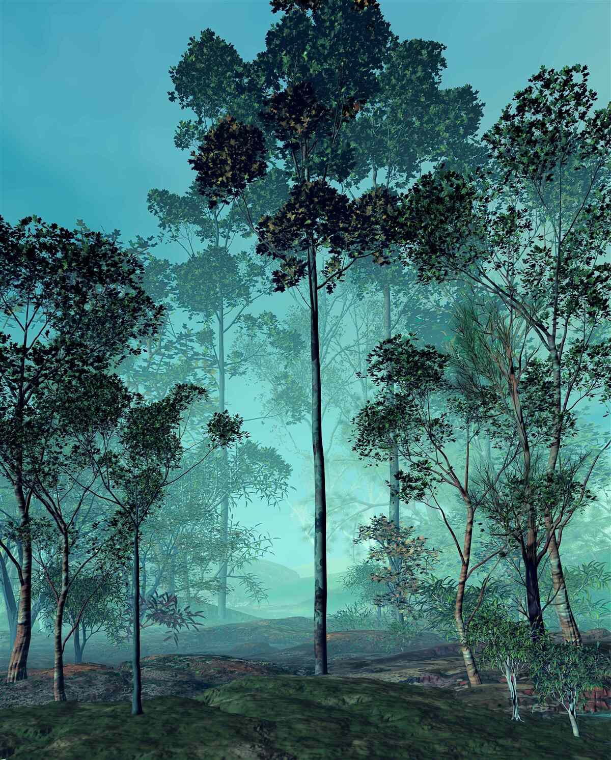 Papier peint forêt enchanteresse enveloppée d'un épais brouillard