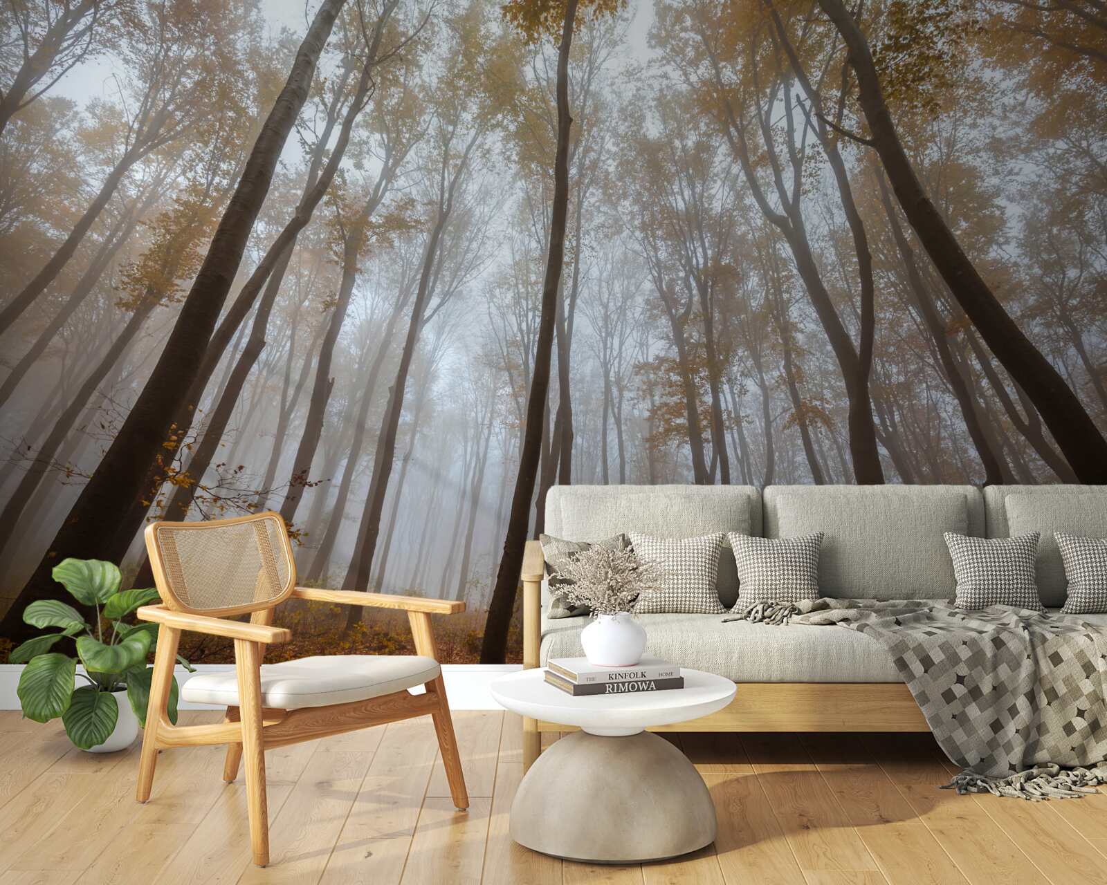 Papier peint les grands arbres élancés en automne