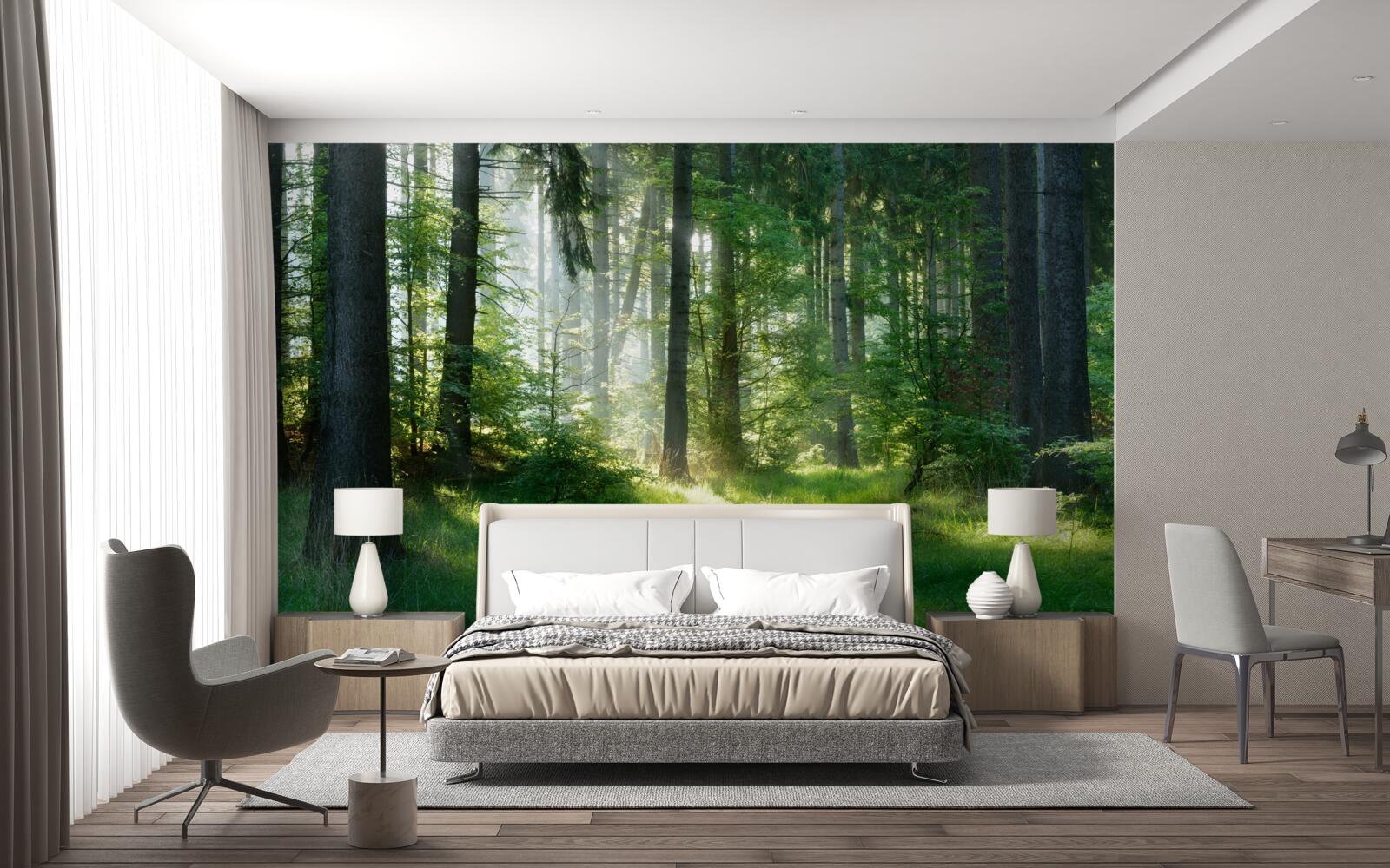 Papier peint une matinée dans la forêt, entourée de verdure