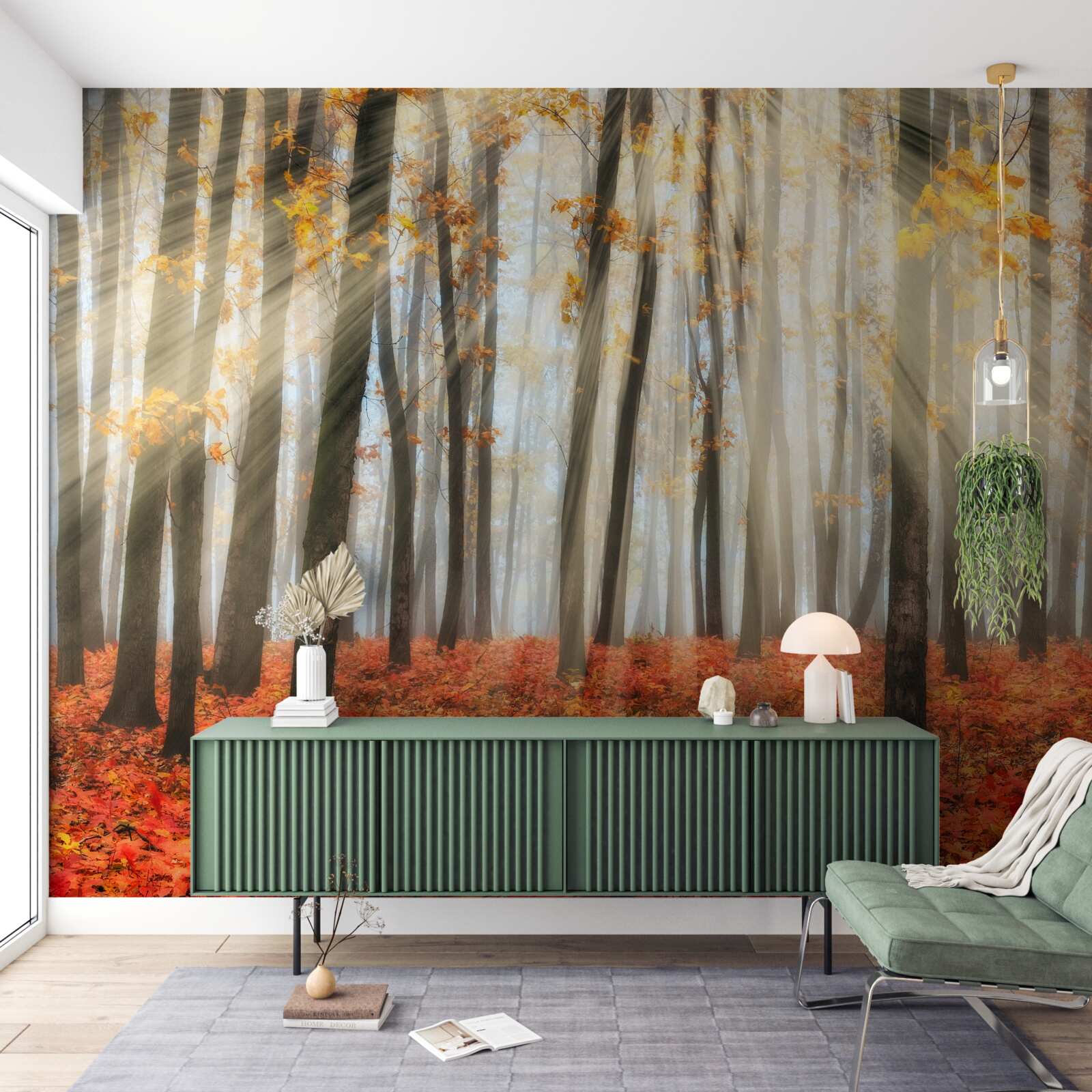 Papier peint le soleil et les gracieux arbres d'automne qui ont perdu leurs feuilles