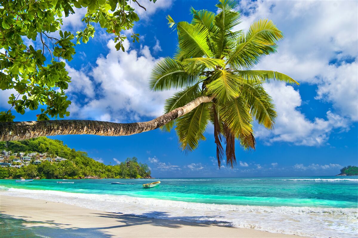 Papier peint la nature fascinante des seychelles