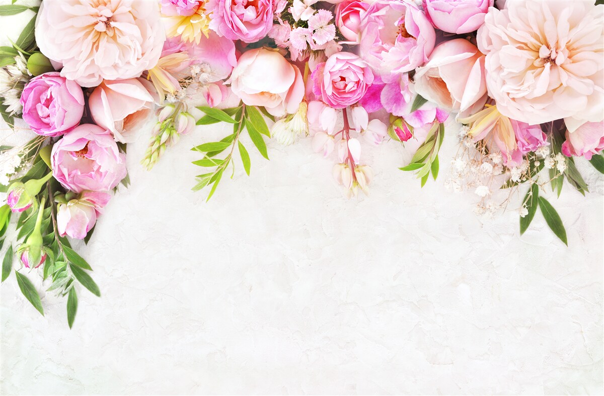 Papier peint branche avec des fleurs blanches et roses