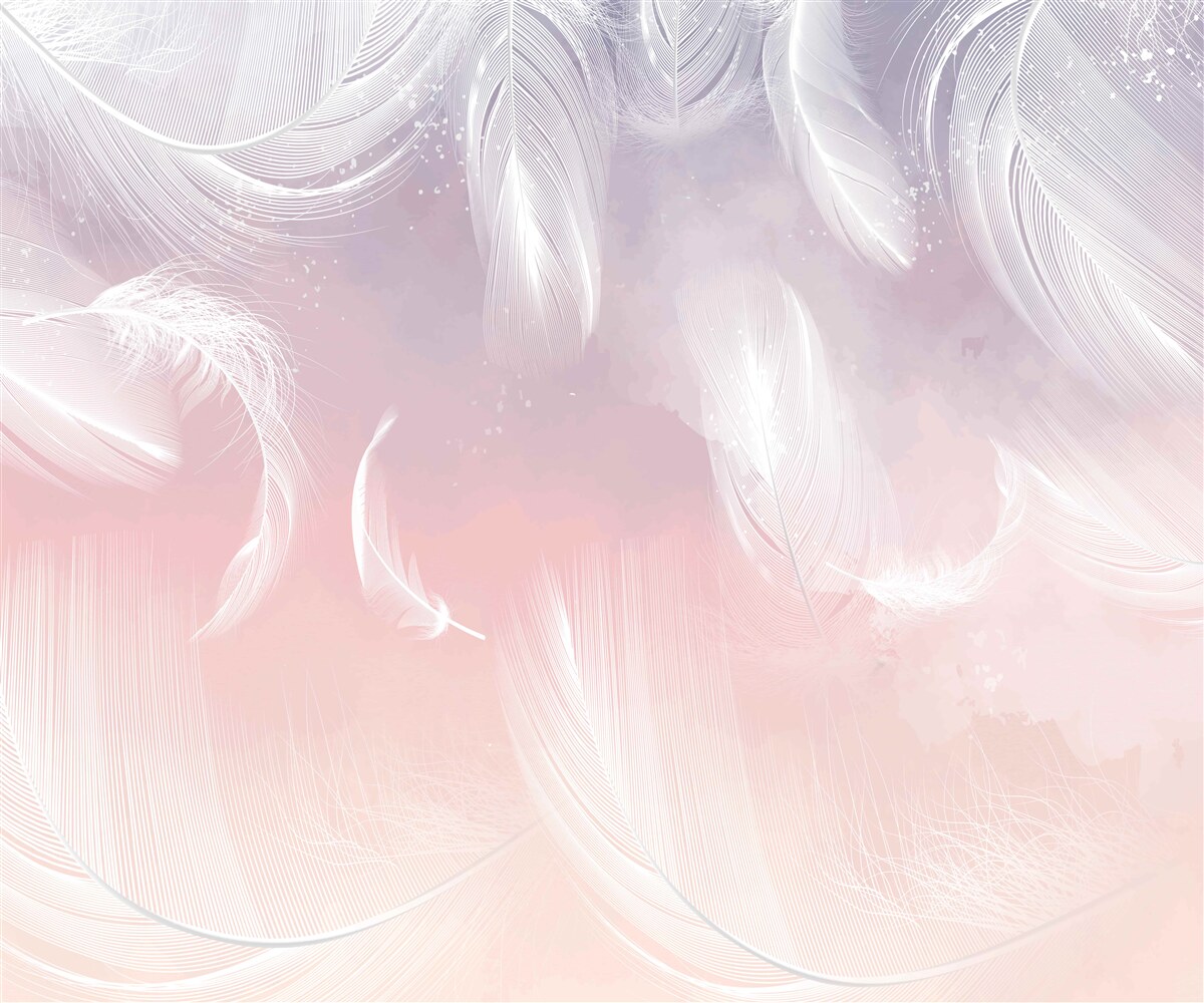 Papier peint plumes blanches flottant dans le coucher de soleil