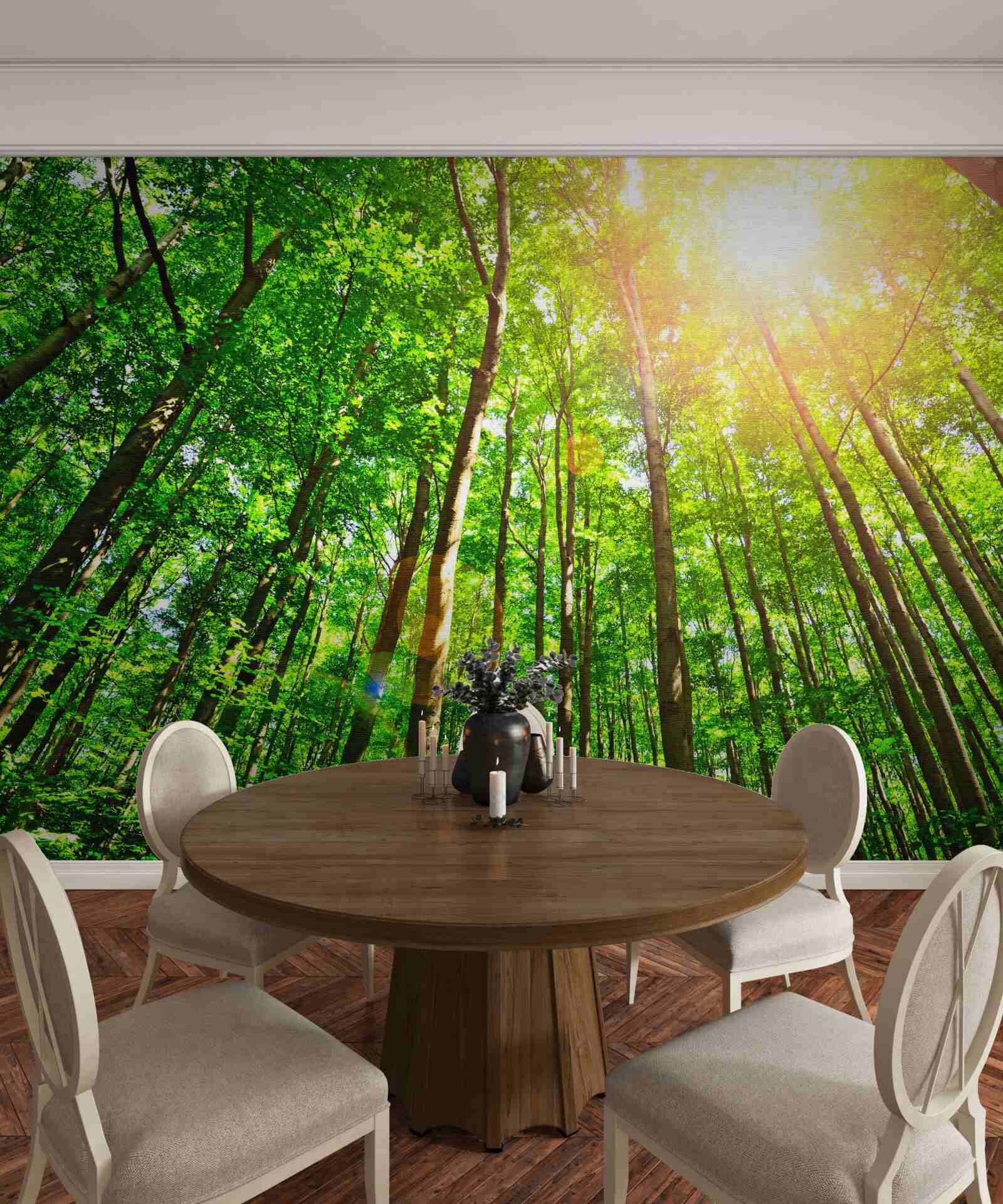 Papier peint la lumière riche du soleil perce à travers les lisières denses de la forêt