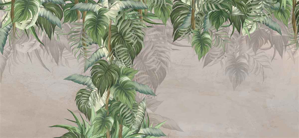 Papier peint les feuilles de la grande monstera recherchent l'humidité