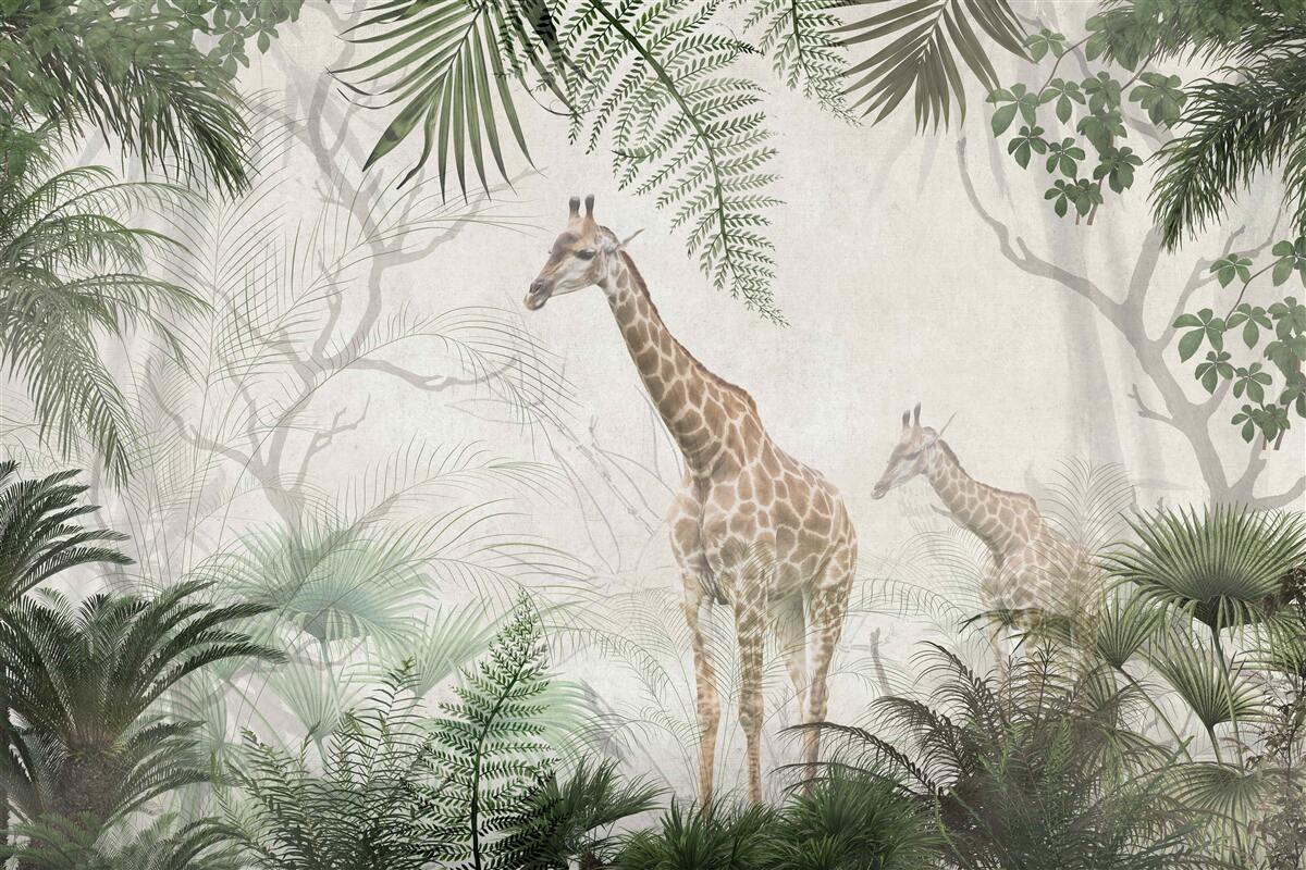 Papier peint une famille de girafes se promène le long d'un sentier forestier
