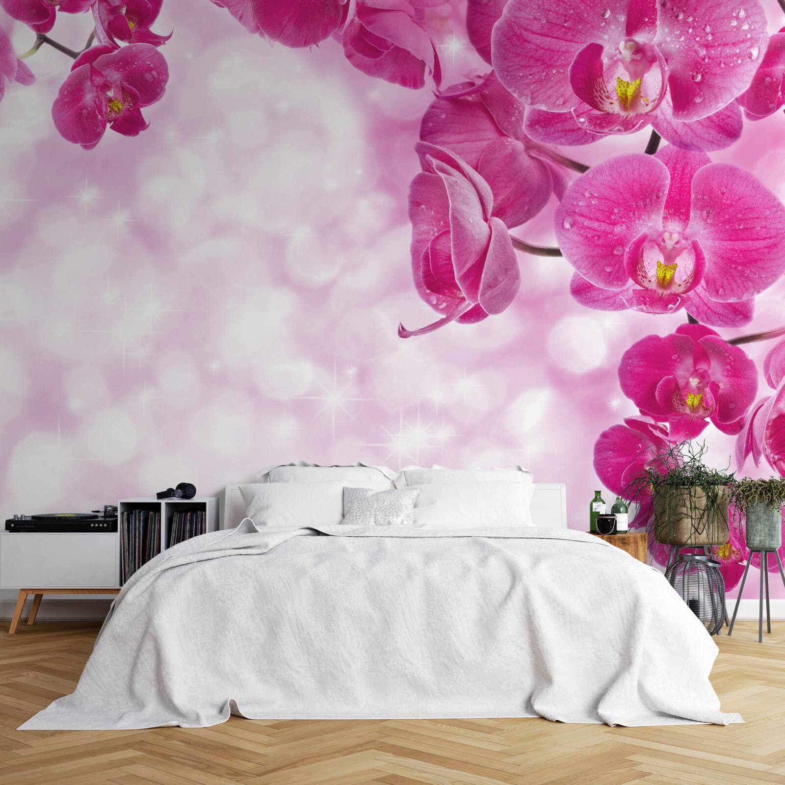 Papier peint orchidée avec une délicate teinte lilas