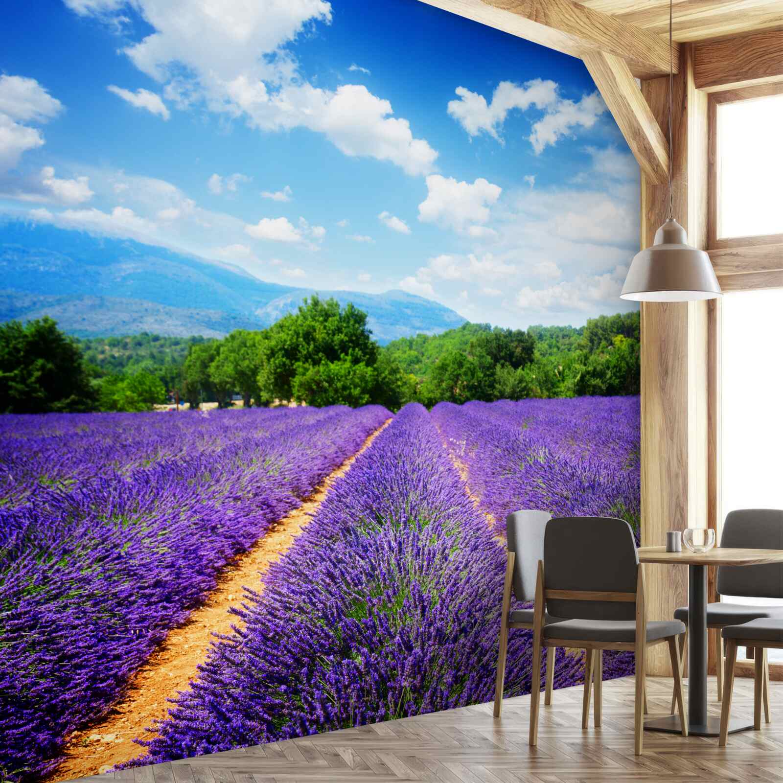 Papier peint un jardin de lavande en fleurs contrastant avec la campagne environnante