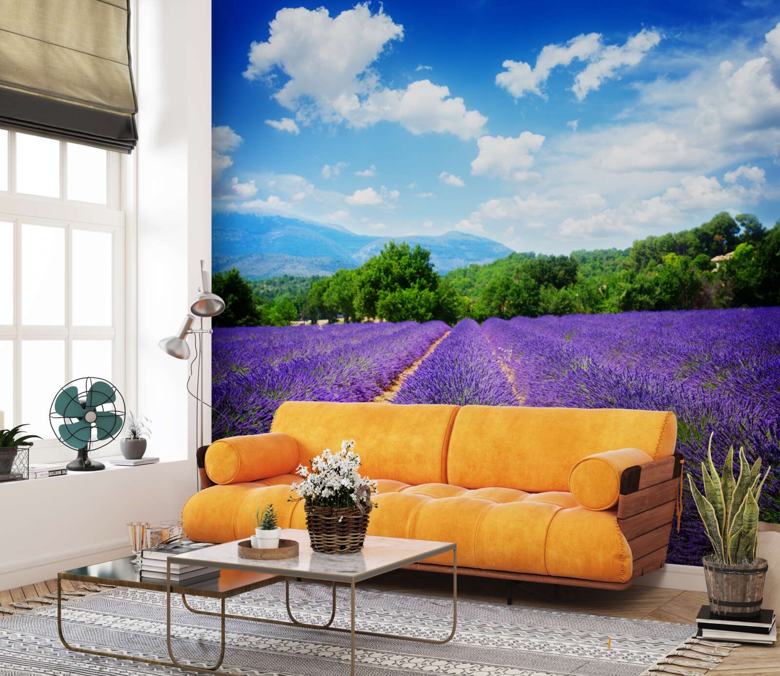 Papier peint un jardin de lavande en fleurs contrastant avec la campagne environnante