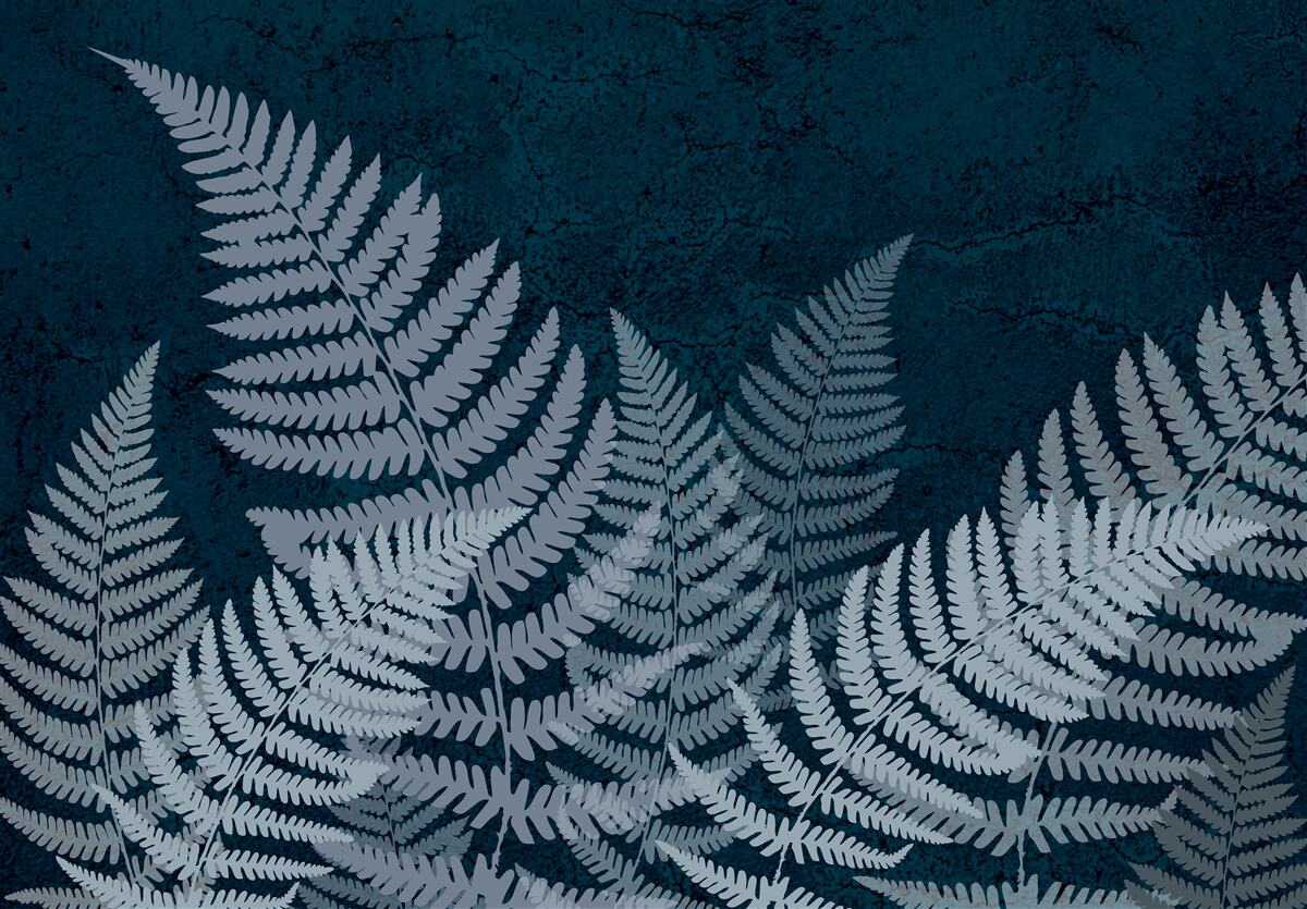 Papier peint Feuilles de fougère rougeoyantes par une nuit sombre