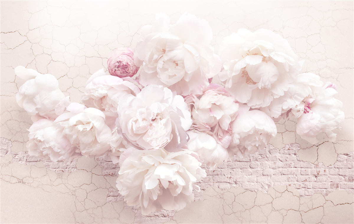 Papier peint boutiques luxuriantes avec fleurs sur fond rocheux
