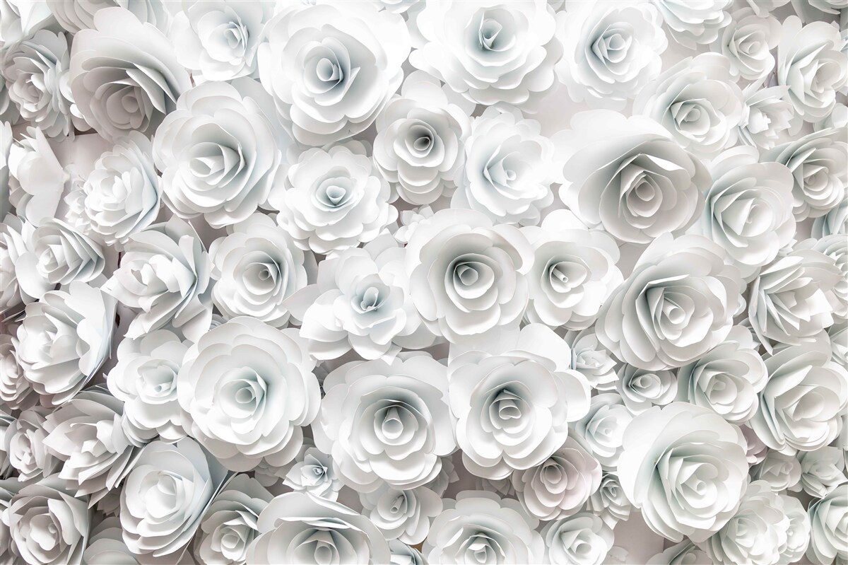 Papier peint composition de fleurs lumineuses