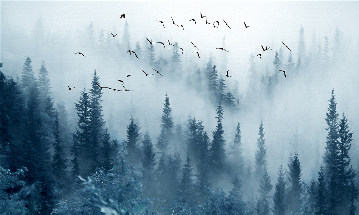 Papier peint une volée d'oiseaux survole une forêt enveloppée de brume