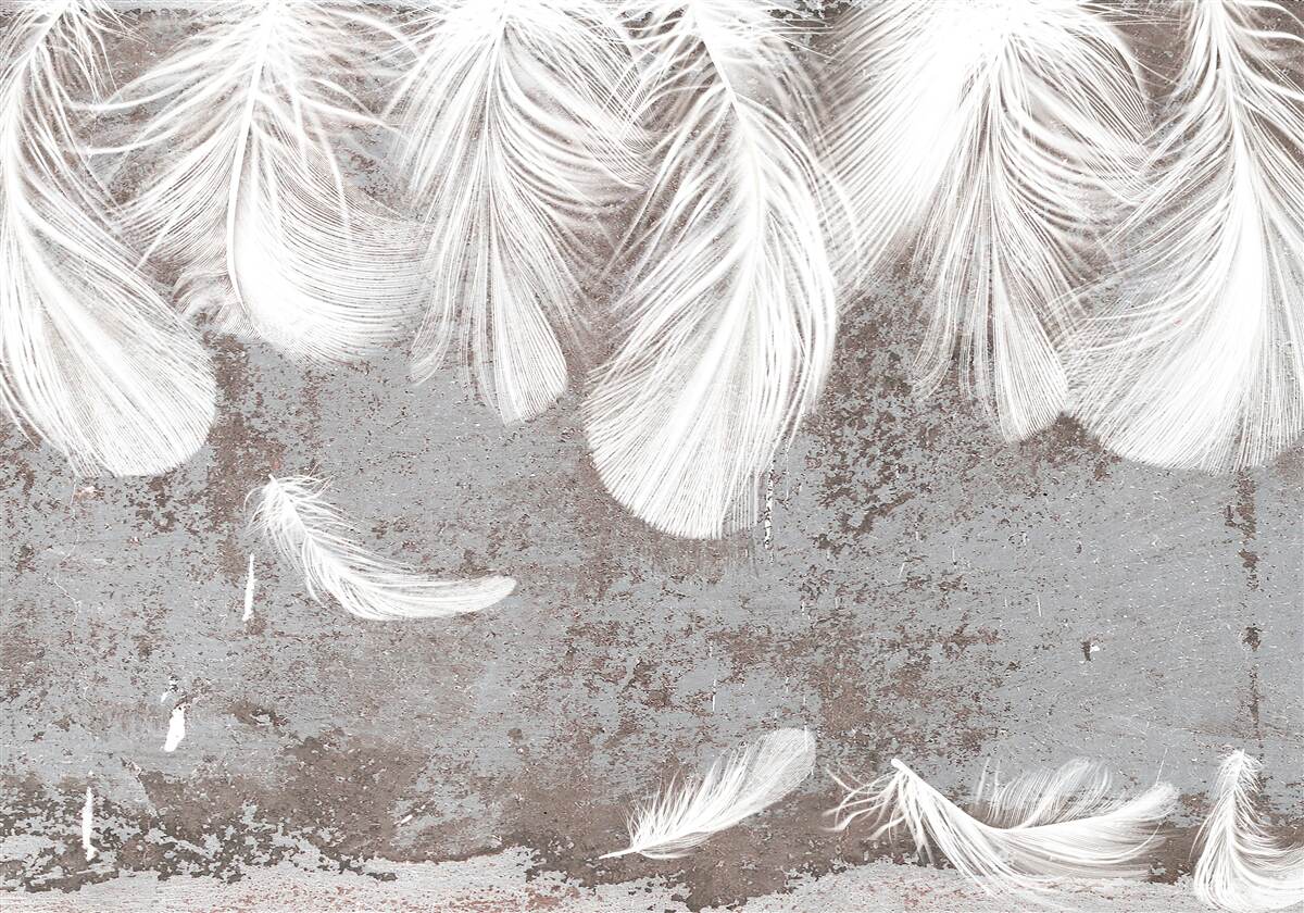 Papier peint les plumes qui s'installent sont blanches et duveteuses