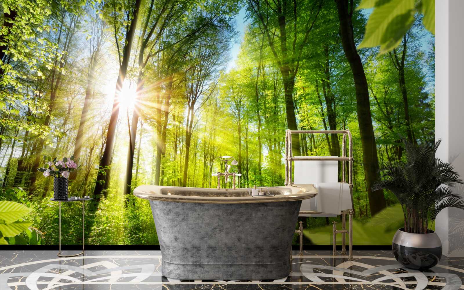 Papier peint les rayons du soleil pénètrent les arbres de la forêt