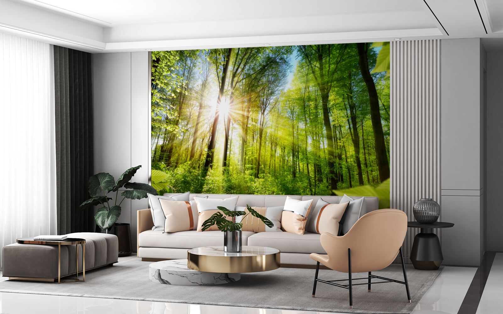 Papier peint les rayons du soleil pénètrent les arbres de la forêt