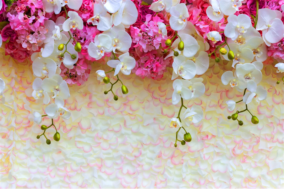 Papier peint fleurs blanches et roses suspendues
