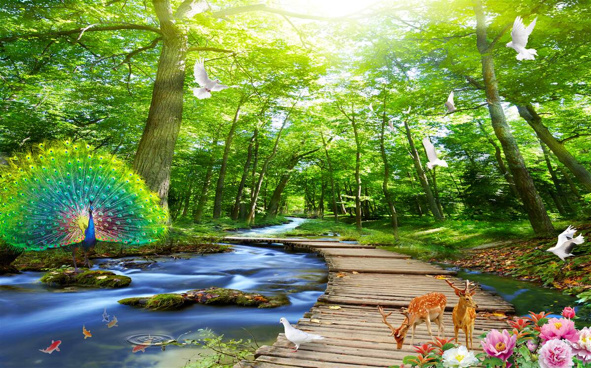 Papier peint la forêt extrêmement attrayante abrite des oiseaux et des animaux
