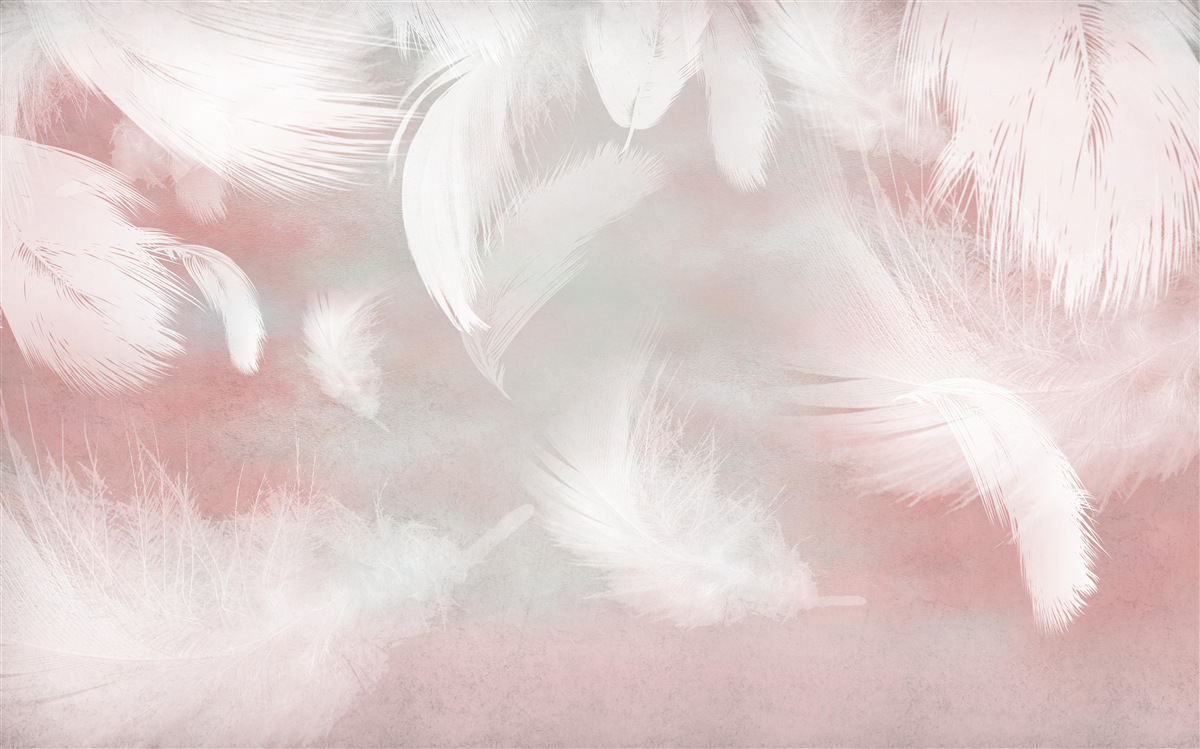 Papier peint fond doux fait de plumes