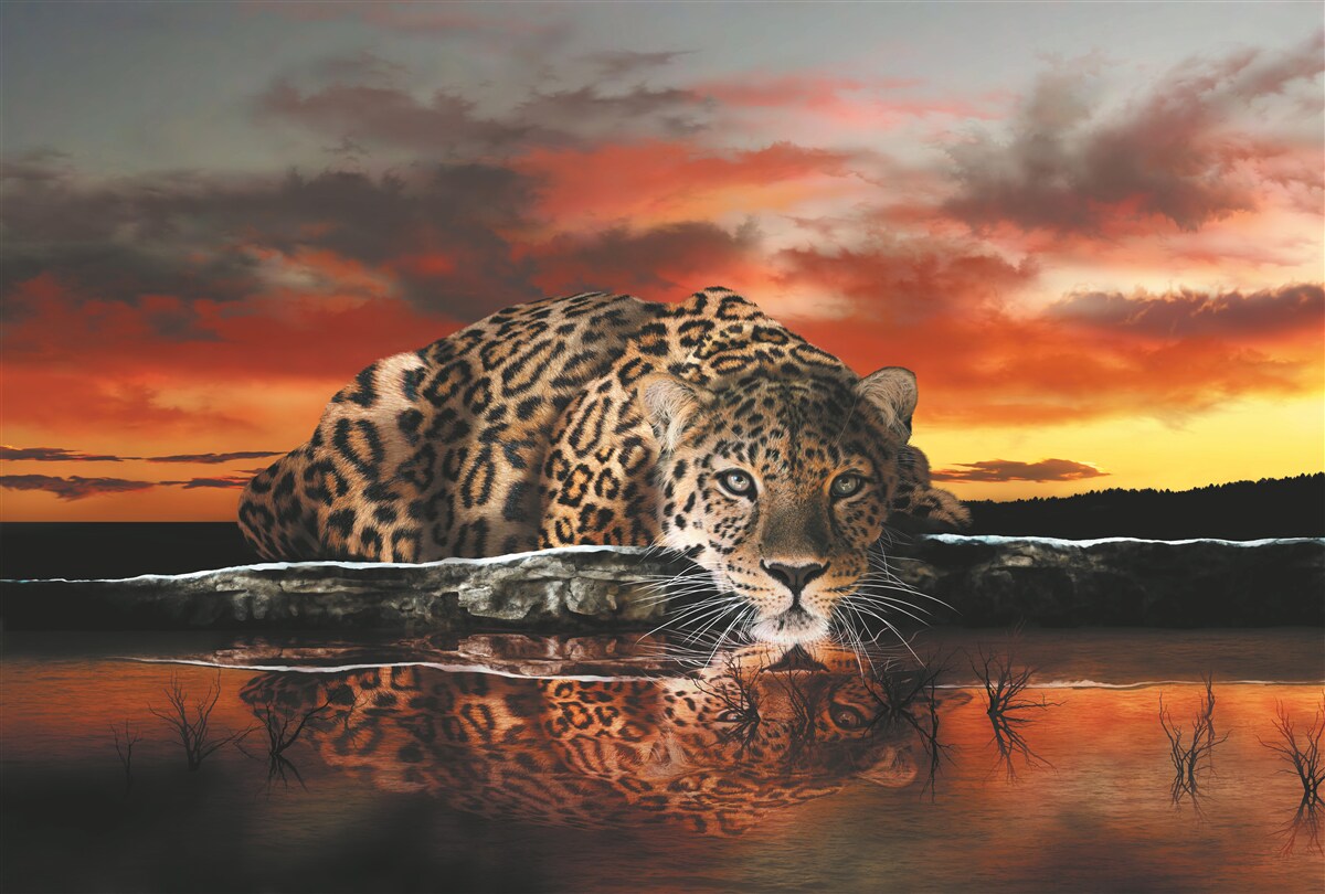 Papier peint Un étang à l'horizon, peint dans les couleurs du coucher de soleil, et à côté un guépard.