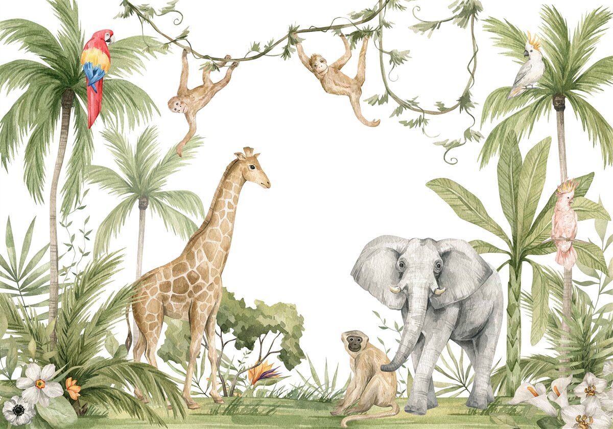 Papier peint les animaux de la forêt tropicale