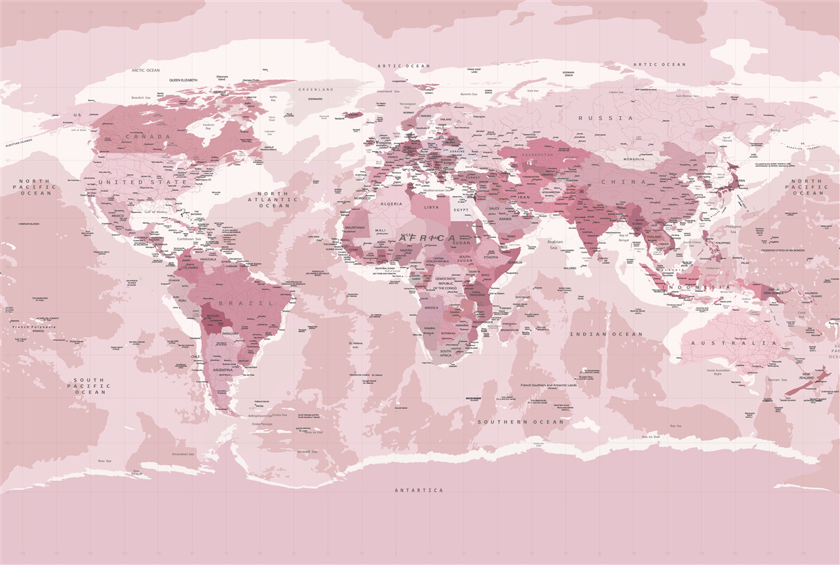 Papier peint carte géographique standard en rose