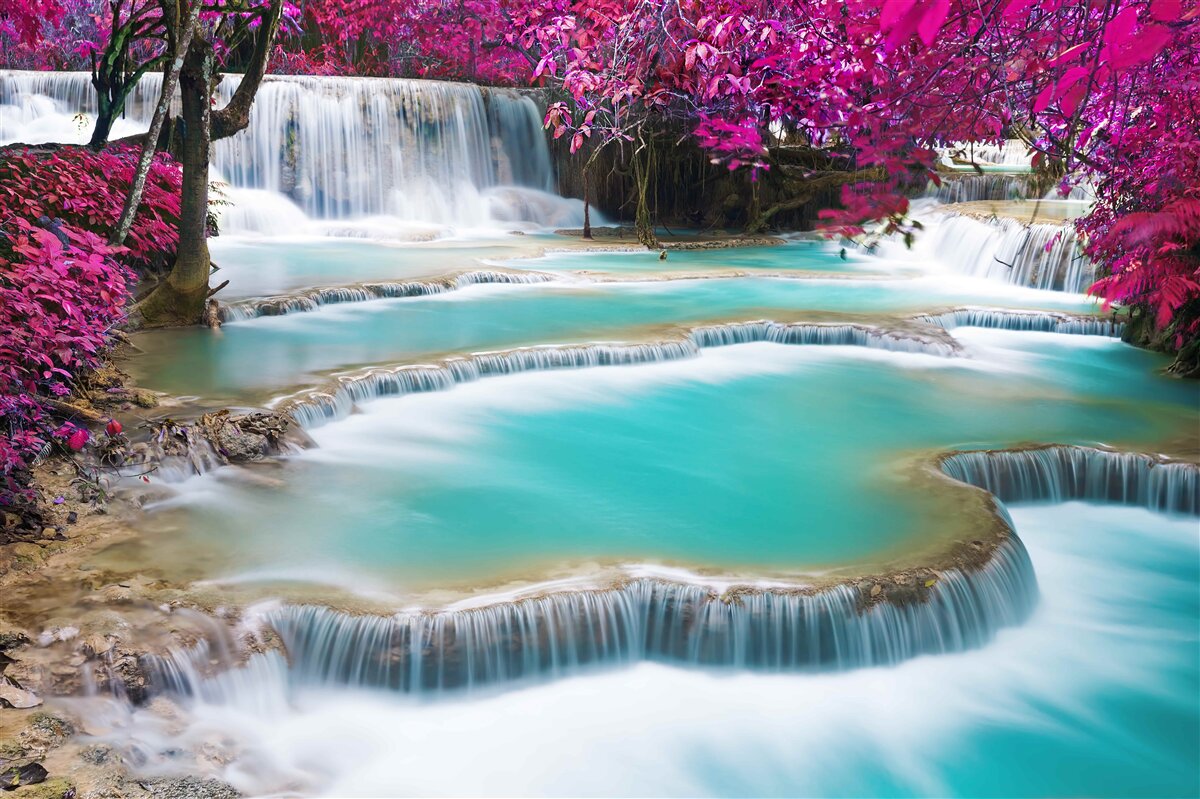 Papier peint arbres couverts de fleurs de lilas au pied de la cascade