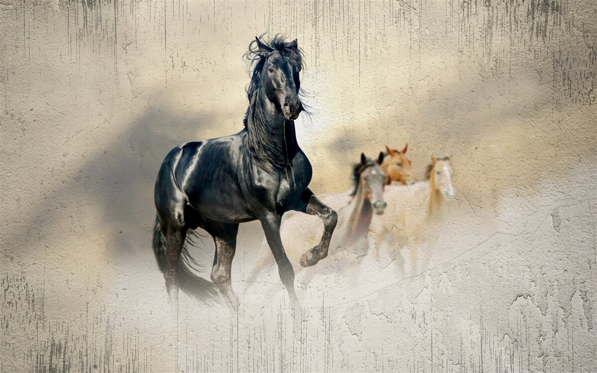 Papier peint un troupeau de chevaux paît dans une vaste prairie