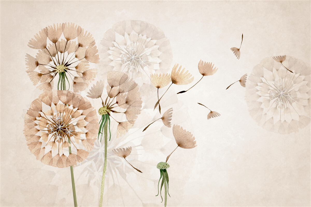 Papier peint Marguerites flétries par l'automne
