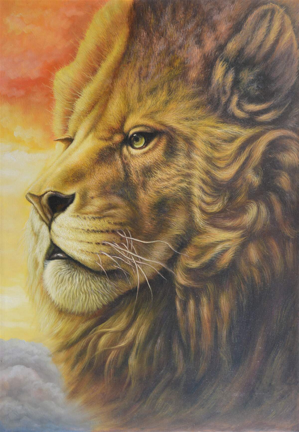 Papier peint magnifique image d'un lion