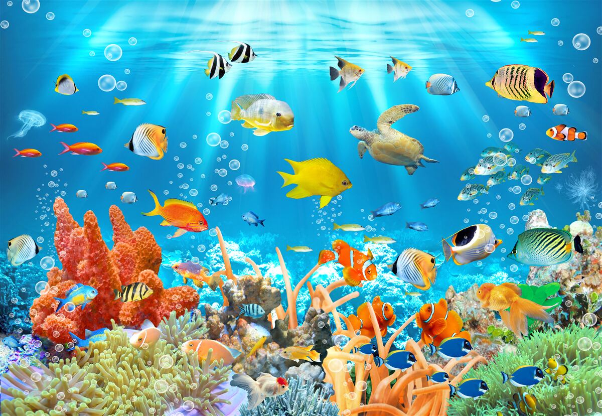 Papier peint le monde vibrant des profondeurs sous-marines
