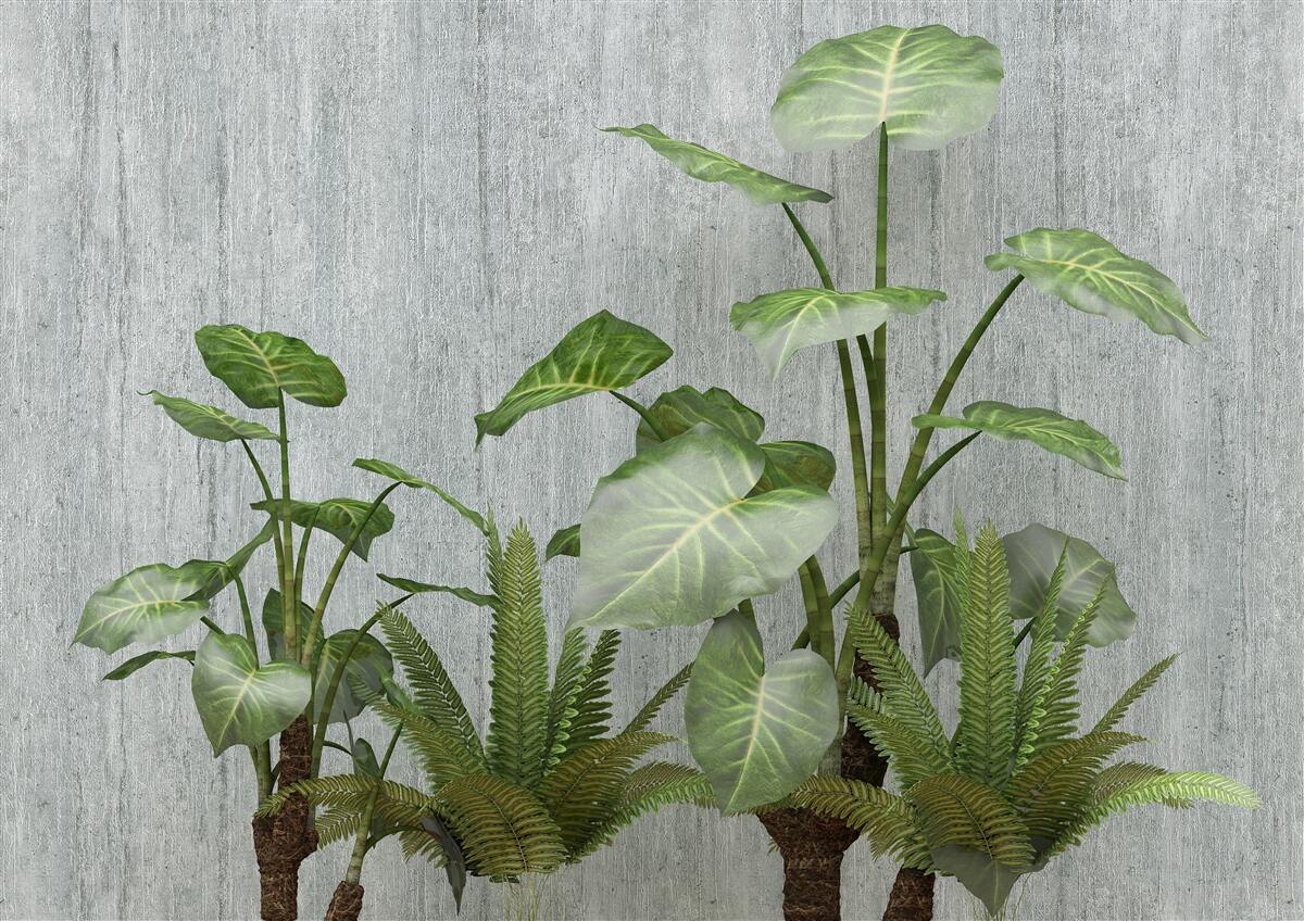 Papier peint énorme buisson de monstera sur fond argenté