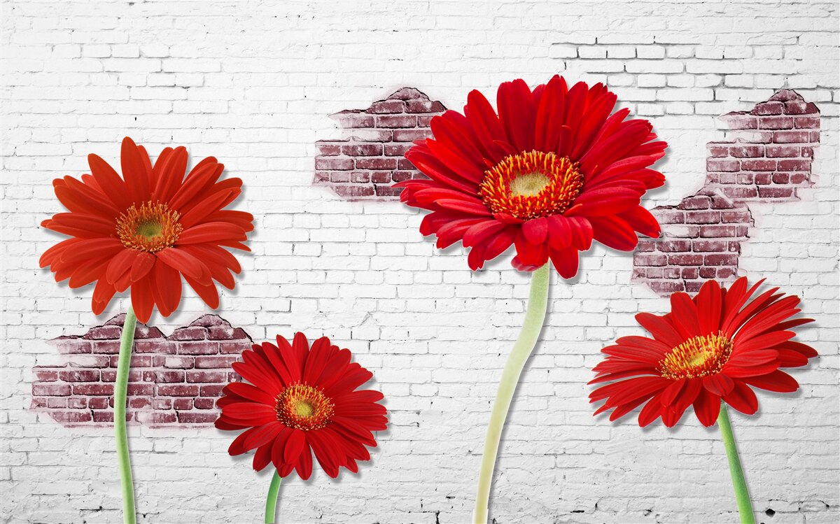 Papier peint gerberas rouges élégants