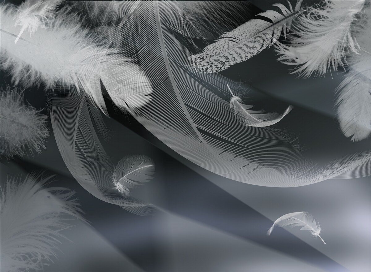 Papier peint des plumes d'un blanc éclatant dans un espace de ciel sombre