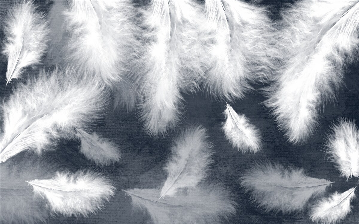 Papier peint plumes denses et flottantes