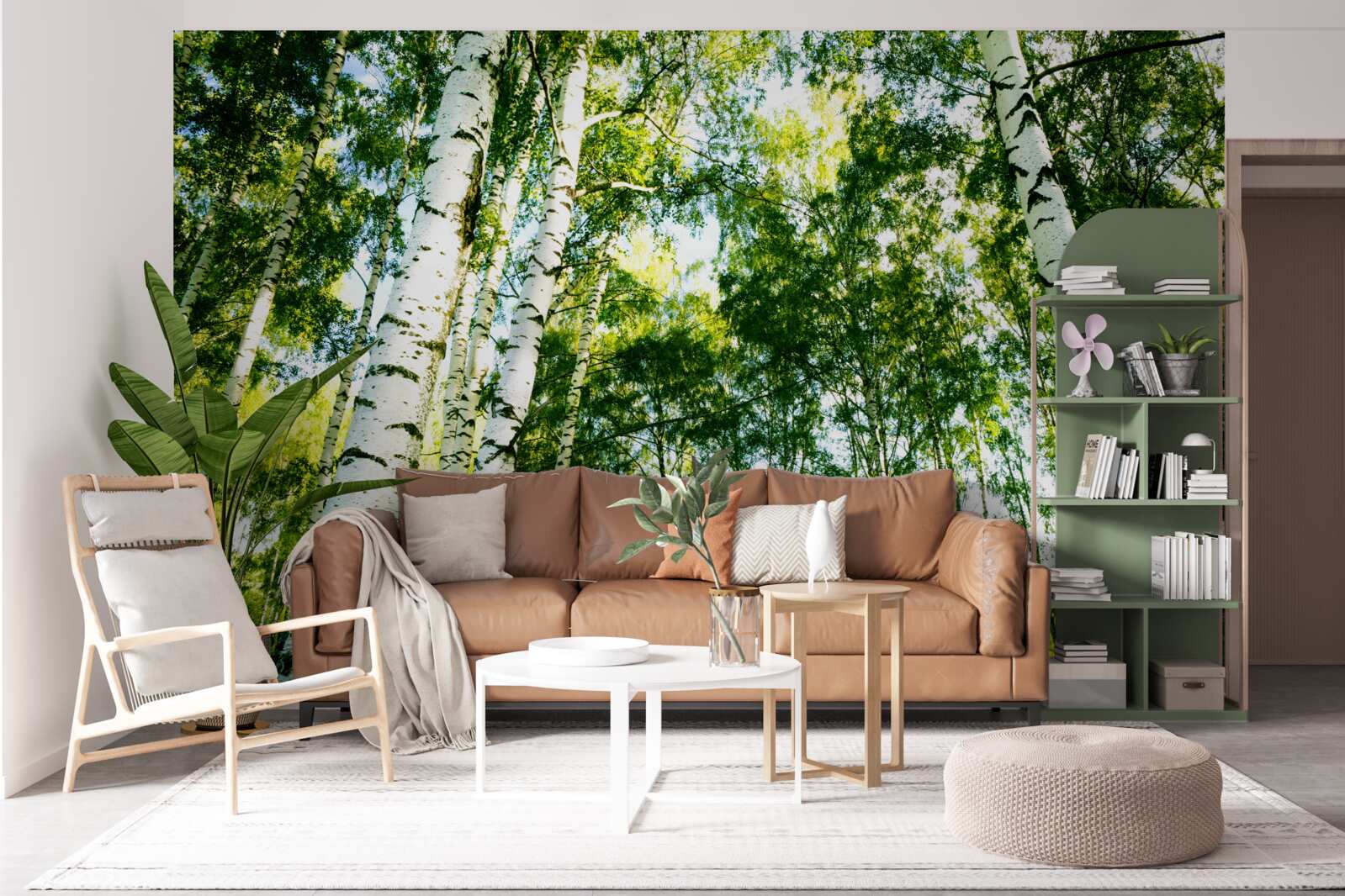 Papier peint forêt de bouleaux