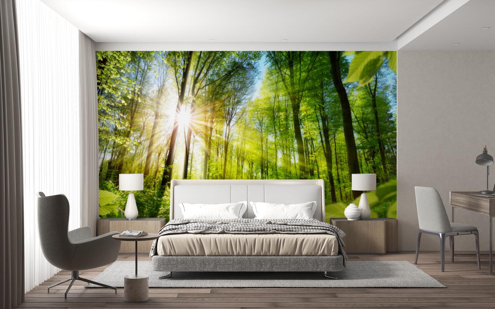 Papier peint une forêt éclairée par le soleil